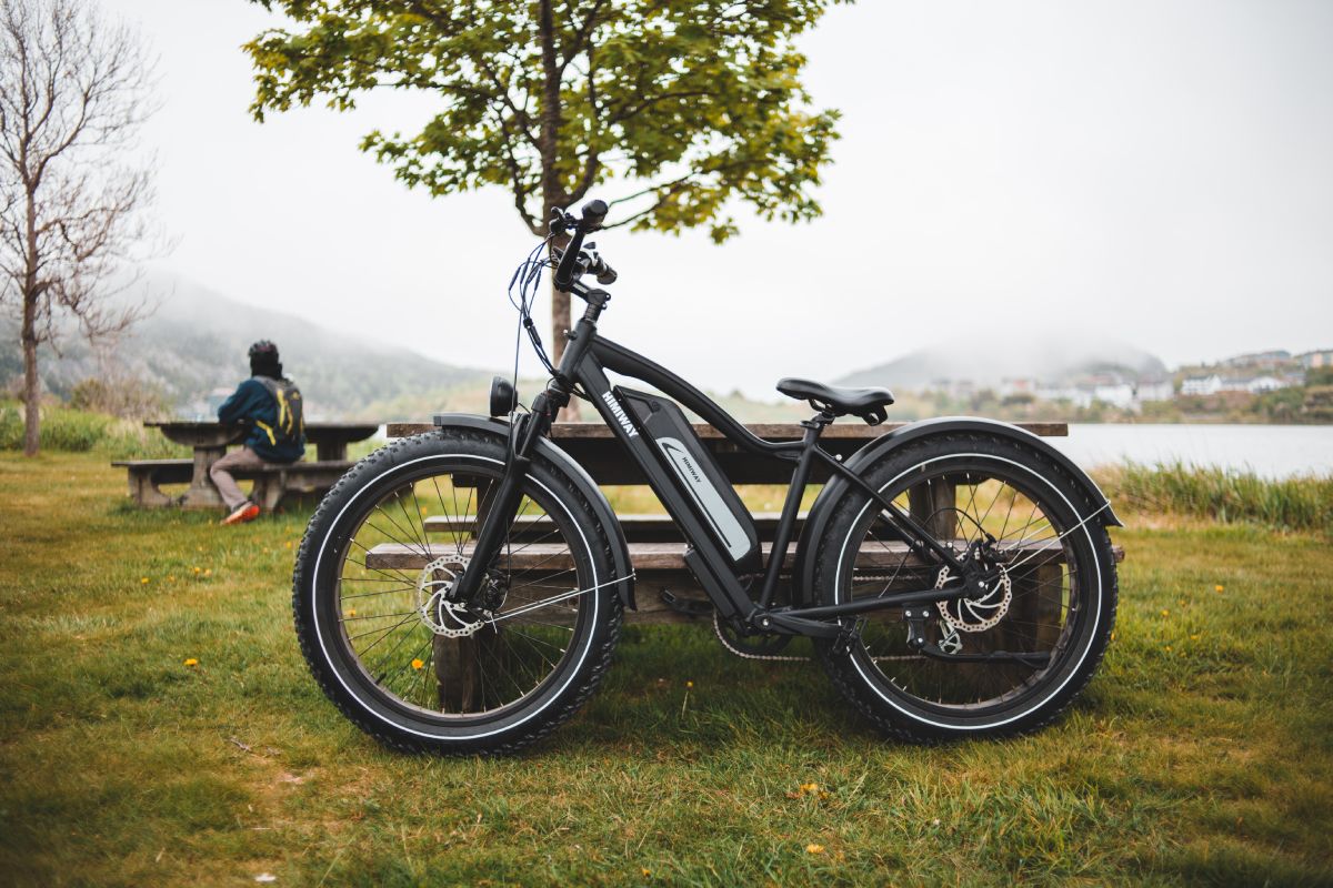 Sustainability and Electric Bikes