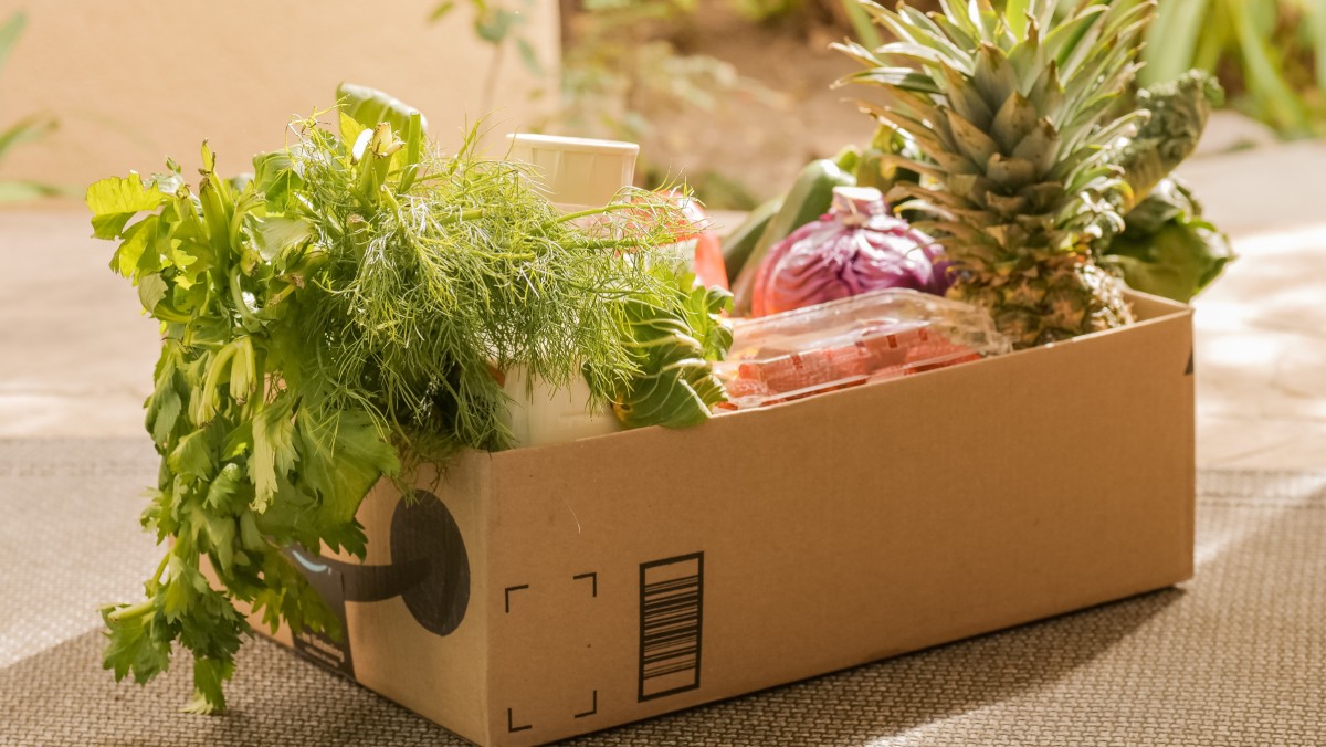 Future of Sustainable Food Delivery Services