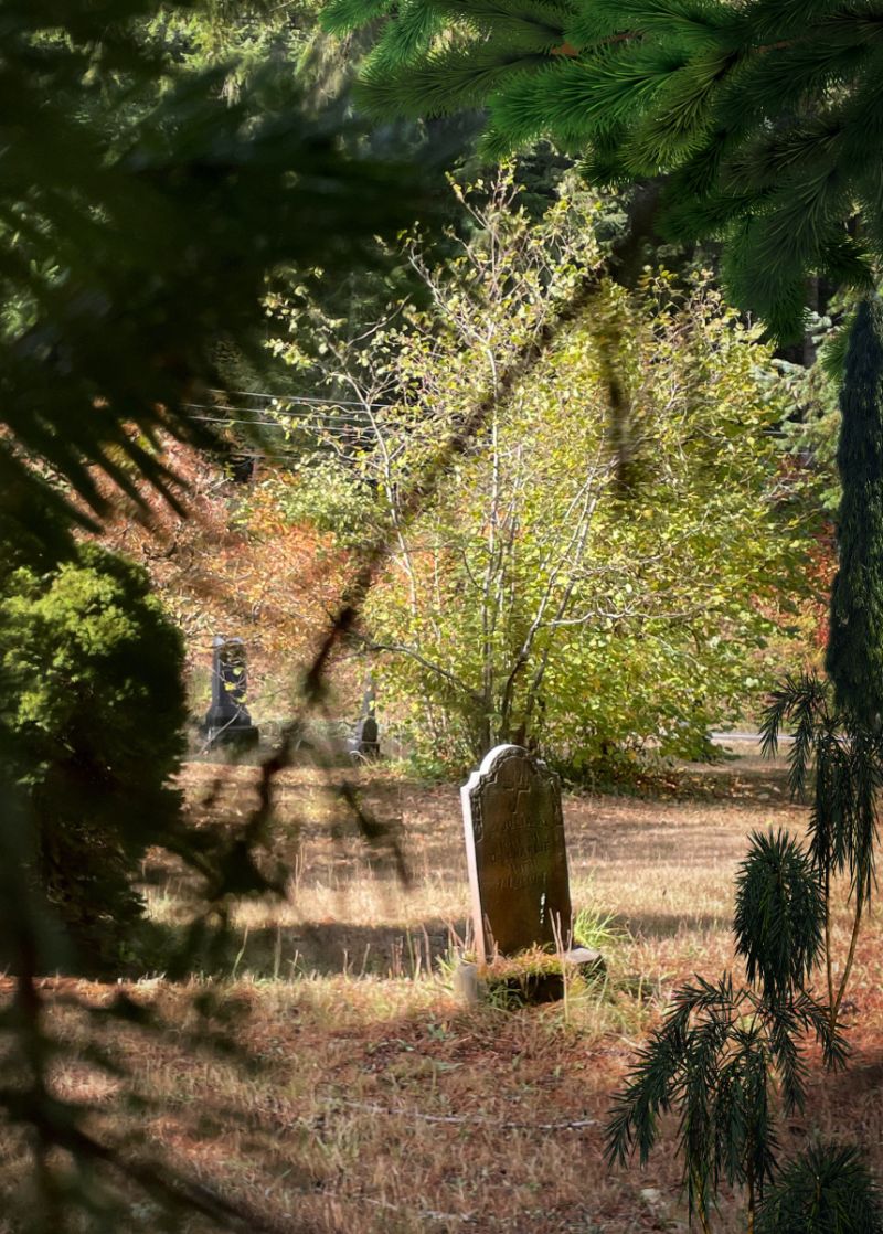 Choosing a Green Burial Ground