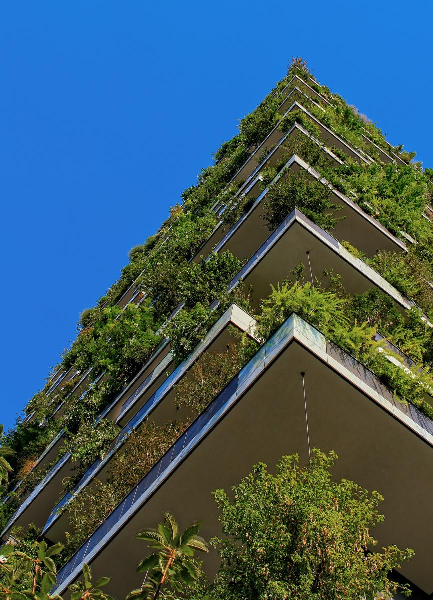 Environmental Benefits of Green Roofing