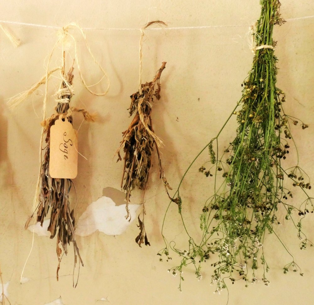 Using and Preserving Your Herbs