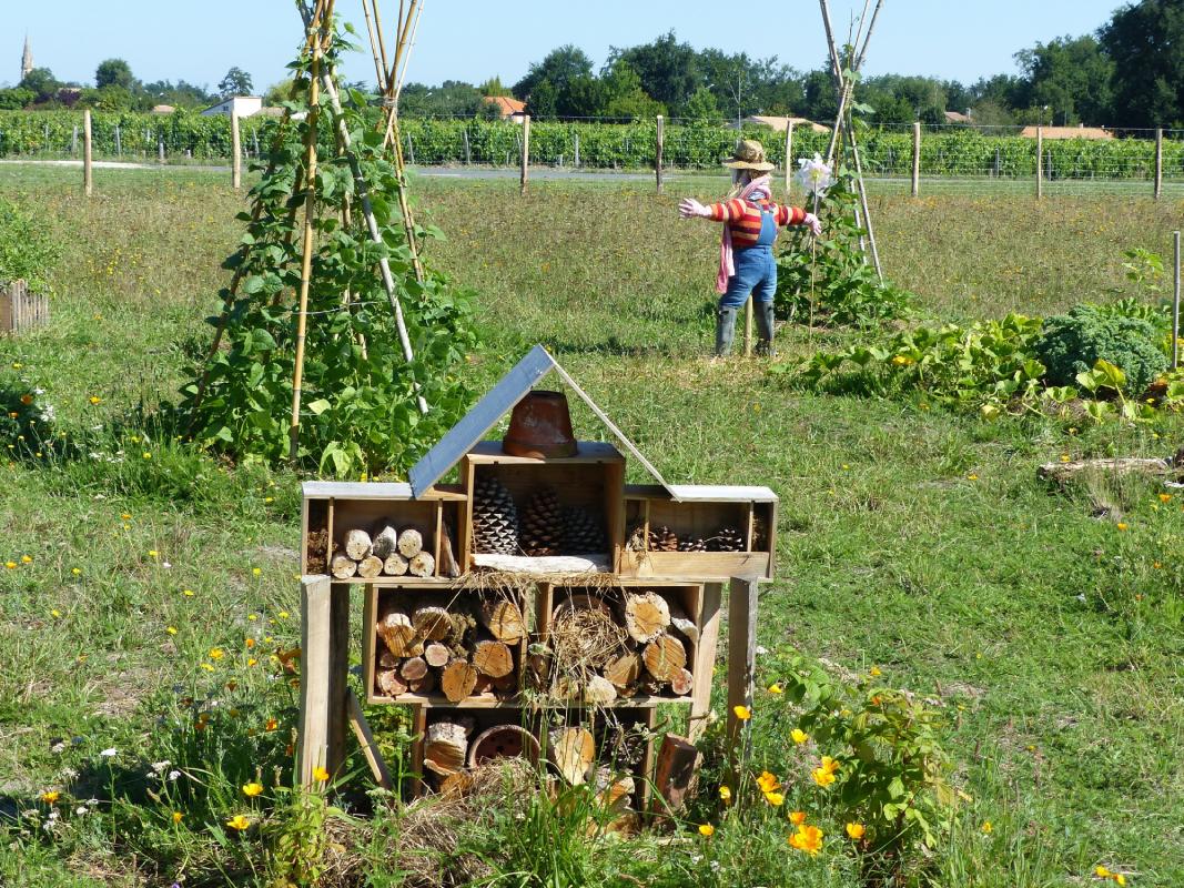 Benefits of Permaculture in Sustainable Agriculture