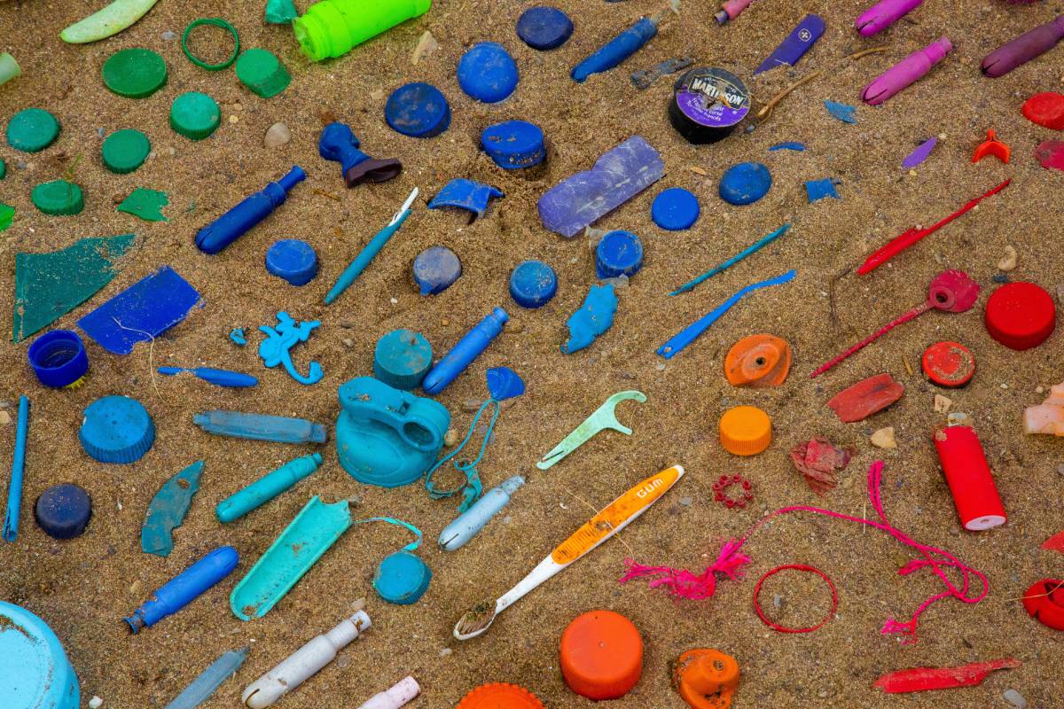 Understanding the Impact of Plastic Pollution