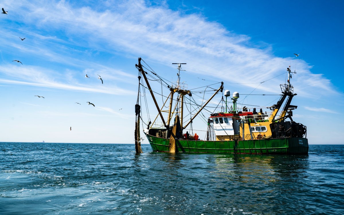 The Socioeconomic Implications of Overfishing