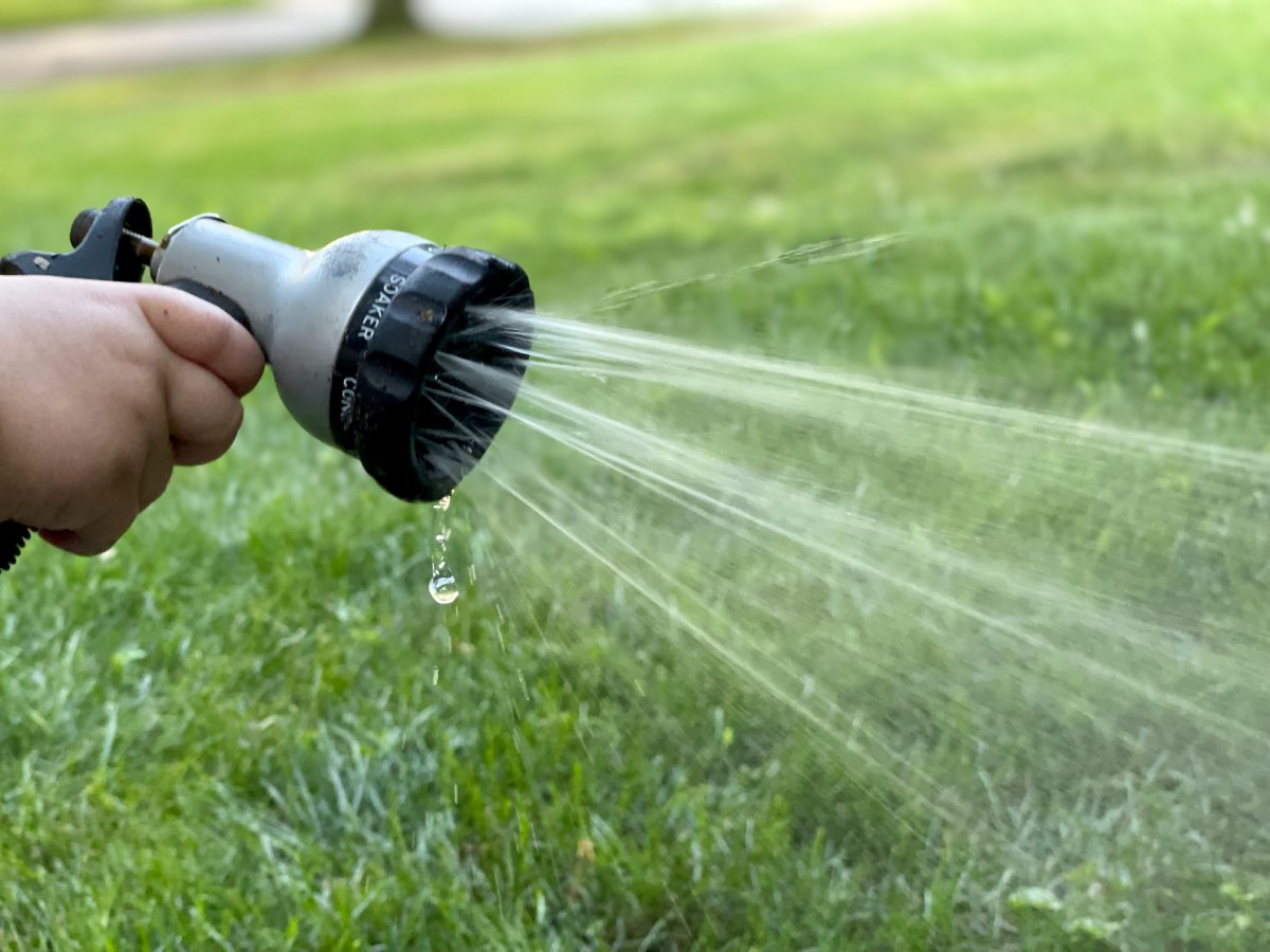Outdoor Water-Saving Techniques
